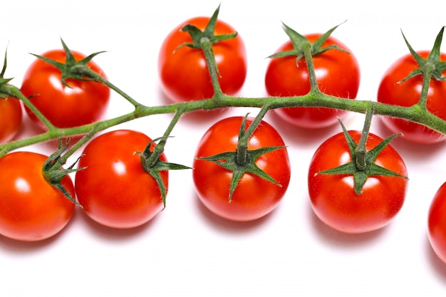 Tomaten auf Zweigen