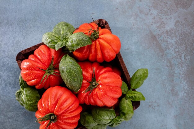 Tomaten mit Basilikumblatt, Wassertropfen hautnah.