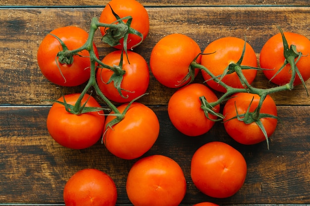 Tomaten mit Zweig