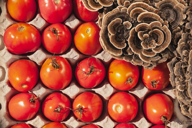 Foto tomaten und geschnittene giftige pilze befinden sich in einem eierkarton.