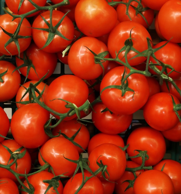 Tomaten zum Verkauf in einem Geschäft