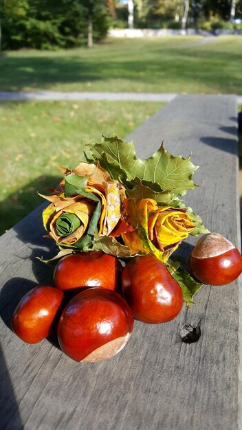 Foto tomaten