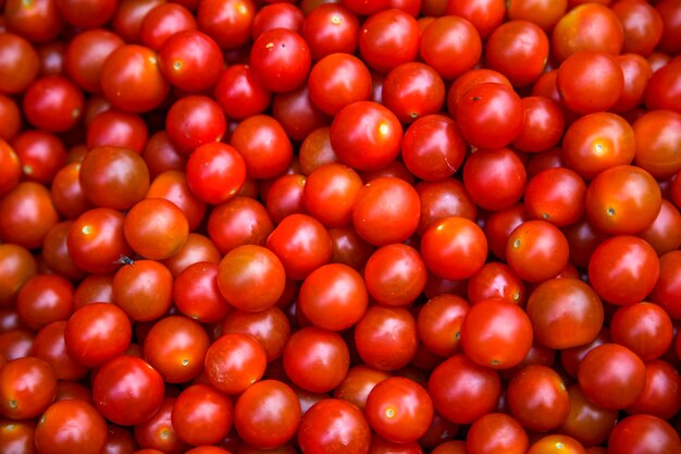 Tomaten