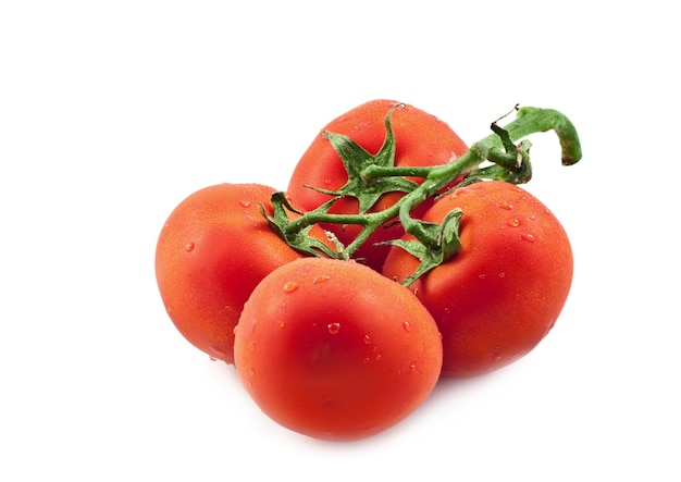 Tomaten