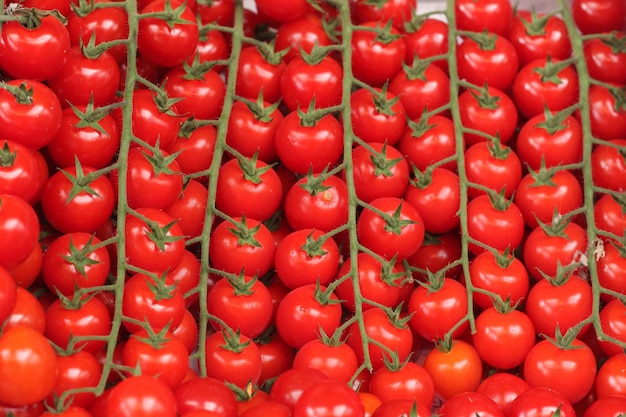 Foto tomatenkirsche auf dem markt