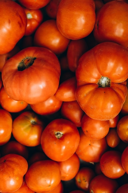 Tomatensorten bunter dunkler Hintergrund. Ansicht von oben.