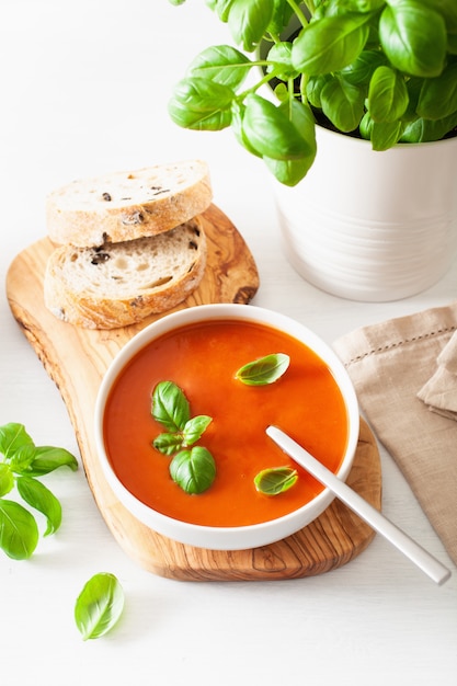 Tomatensuppe auf weißem Backgorund