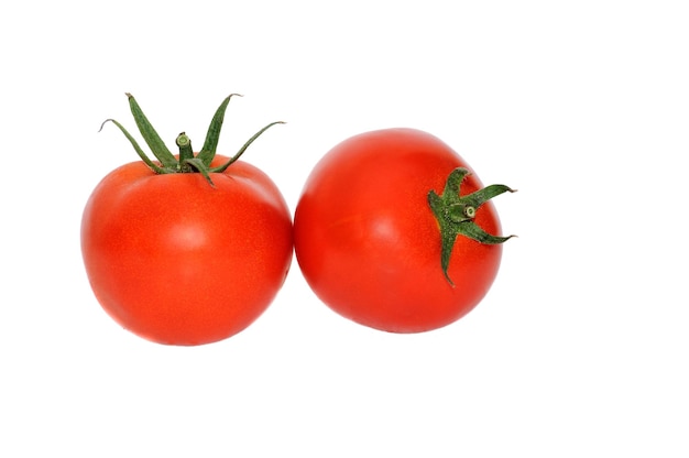 tomates, aislado, blanco, plano de fondo