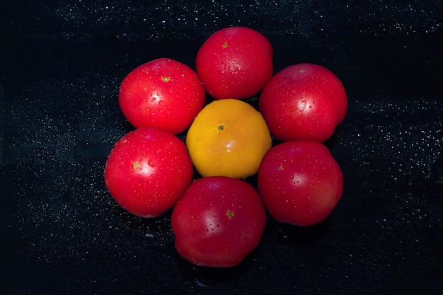 Tomates aislado sobre fondo negro