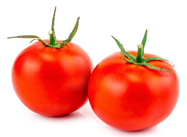 Tomates aislados en blanco