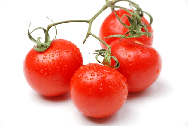 Tomates aislados en blanco