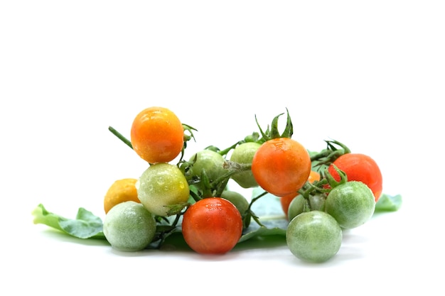 Tomates aislados en fondo blanco, vegetales orgánicos