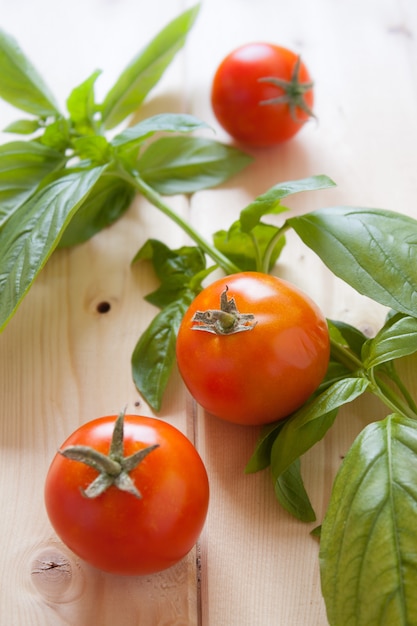 Tomates y Albahaca