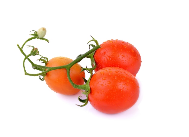 Foto tomates en blanco