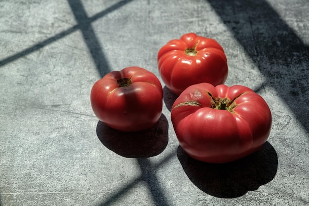 tomates caseiros frescos, tomates em um fundo cinza, raios de sol, espaço para texto