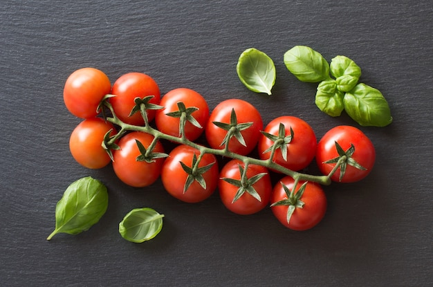 Tomates cereja frescos e manjericão em uma superfície escura