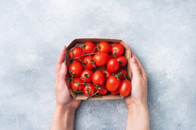 Tomates cereja frescos maduros em um galho em um pacote de papelão. As mãos das mulheres segurar um pacote de papel com tomates.