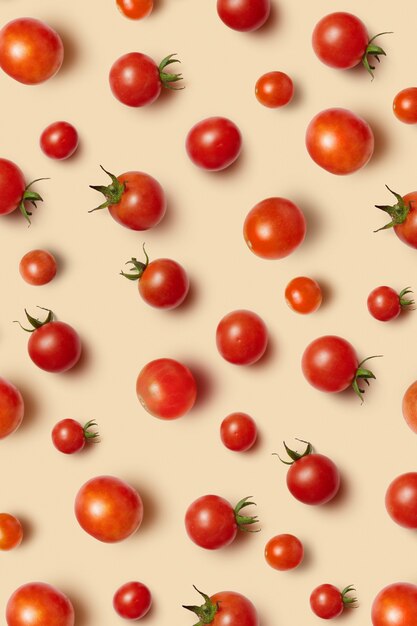 Tomates cereja orgânicos maduros vermelhos recém-colhidos