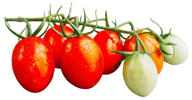 Tomates cereja vibrantes em branco