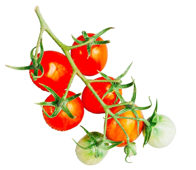 Tomates cereja vibrantes em branco