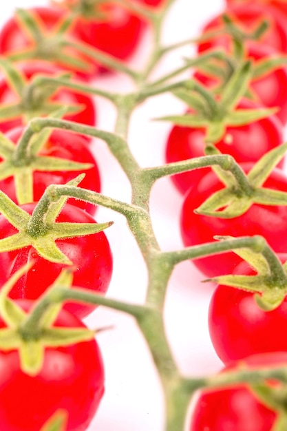 Foto tomates de cereza