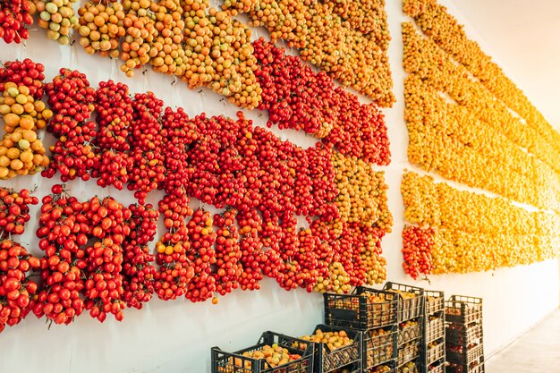 Tomates cherry colgados en la pared en el sur de Italia