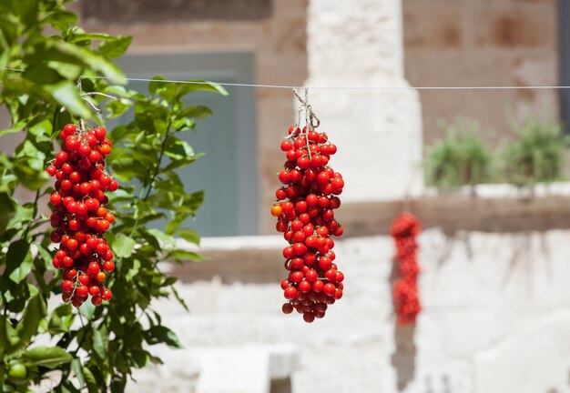 Tomates cherry colgando para secar.