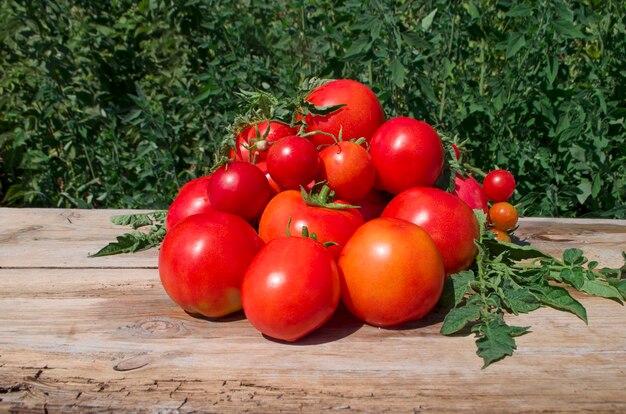 Tomates cherry frescos sobre fondo de madera rústica