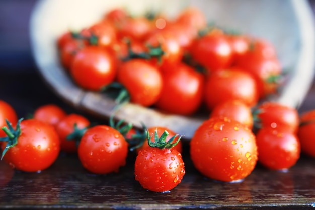 Tomates cherry de granja frescos ecológicos sobre un fondo de madera