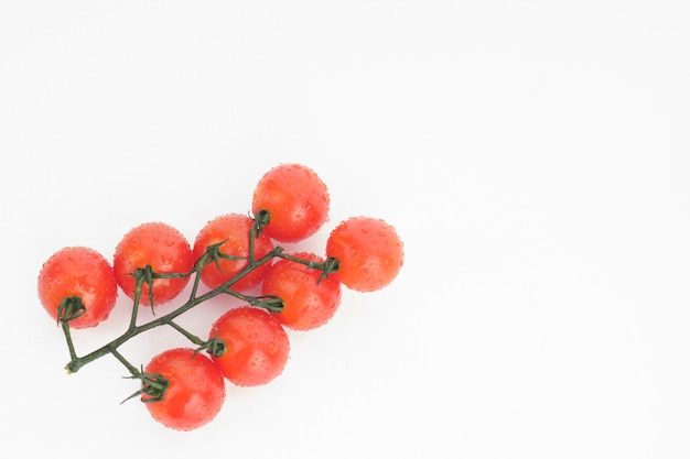 Tomates cherry maduros en una ramita sobre un fondo blanco.