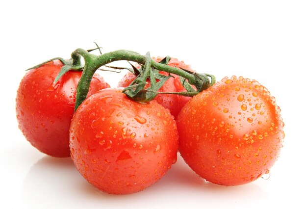 Tomates cherry en una rama con gotas aisladas en blanco