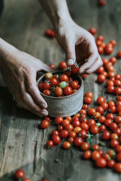 Tomates cherry rojos orgánicos frescos