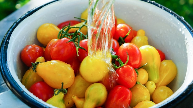 tomates cherry rojos