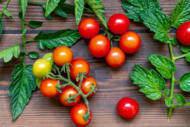 Tomates cherry sobre fondo de mesa de madera hojas de luz oscura