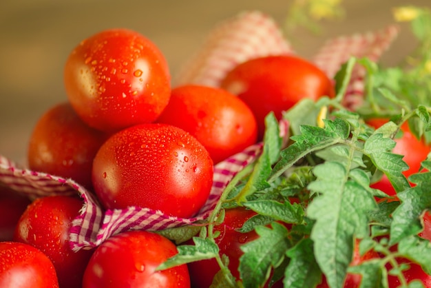 Tomates de ciruela largos con servilleta roja a cuadros en la mesa de madera Montón de tomates frescos