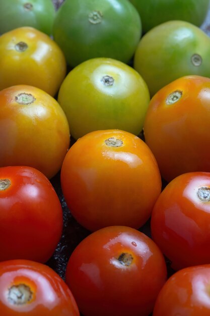 Tomates coloridos arreglan en la mesa