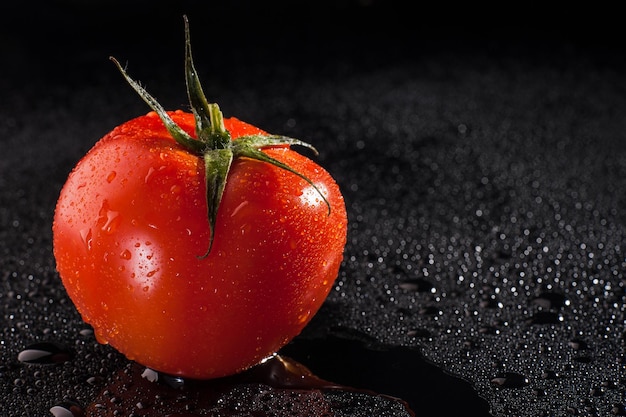 Tomates com gotas de água no fundo preto