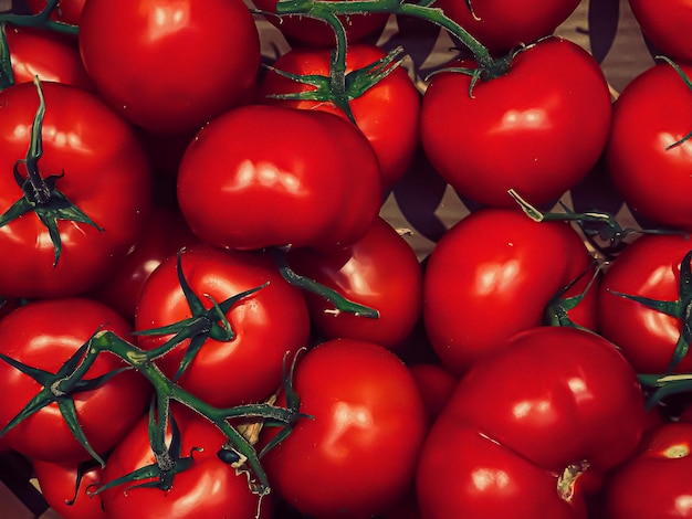 Tomates como fundo de alimentos orgânicos saudáveis vegetais frescos na dieta e agricultura do mercado de agricultores