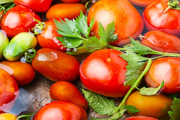 Tomates en conserva de otoño