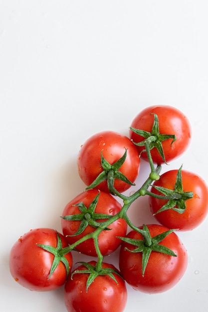 Tomates crudos sobre fondo blanco.