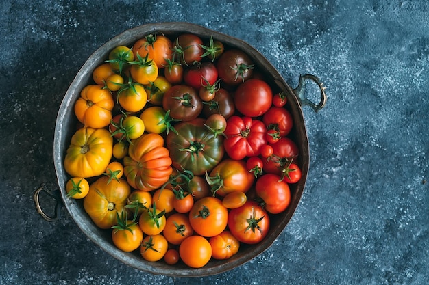 Foto tomates de cores diferentes são exibidos como um gradiente em um fundo escuro.