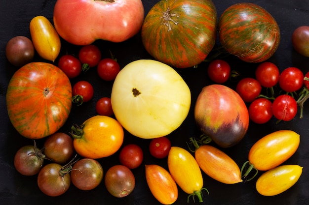 Tomates de diferentes variedades e tamanhos em um fundo escuro.