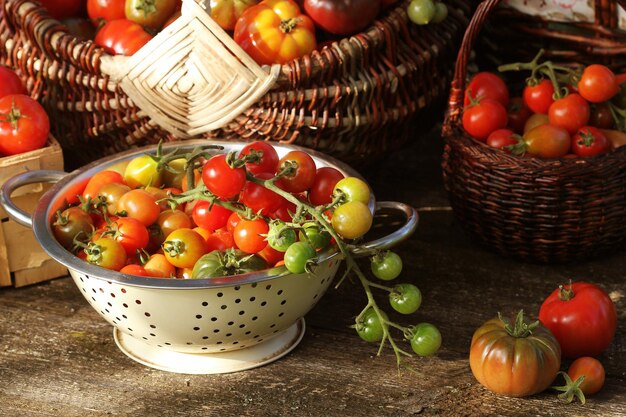 Tomates de variedade herdada em cestas em mesa rústica Tomate colorido laranja amarelo