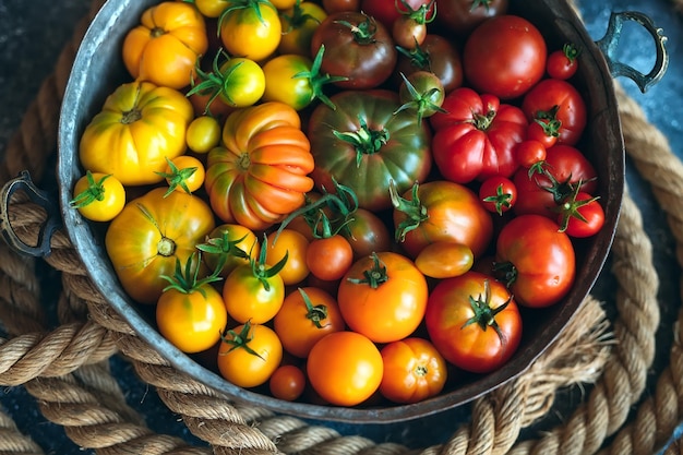 Los tomates de diferentes colores se muestran como un degradado sobre un fondo oscuro.