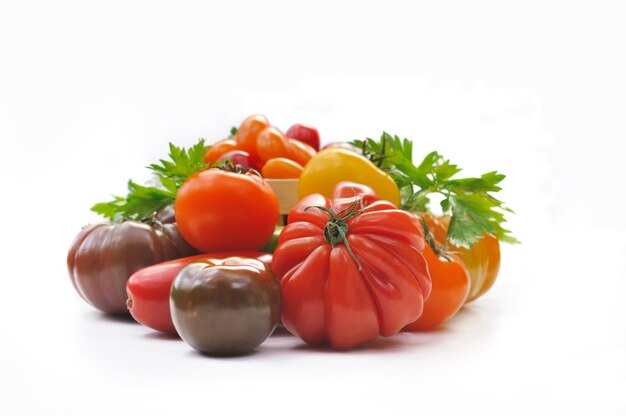 Tomates con diferentes formas y colores sobre fondo blanco.