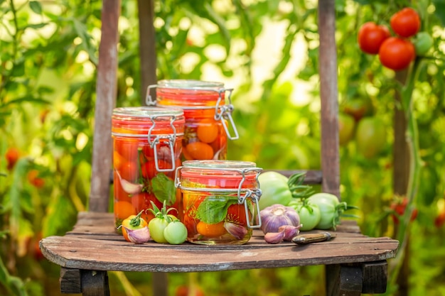 Tomates em conserva caseiros e naturais com alho e endro