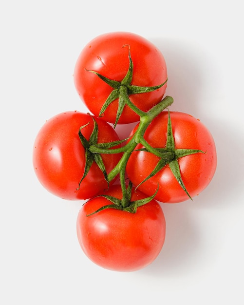 Foto tomates em um galho no fundo branco