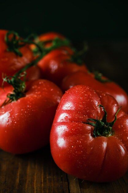 Tomates em um galho Tomates frescos em uma mesa de madeira Tomates Azeybarjan Tomates maduros