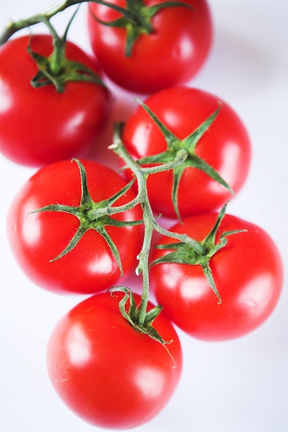 Tomates em um galho verde sobre fundo branco