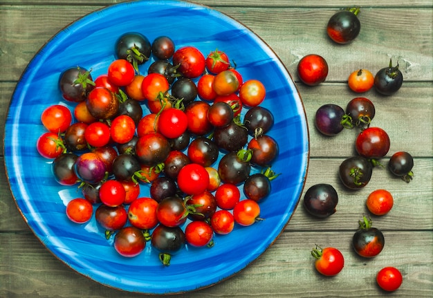 Foto tomates em um prato.